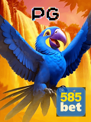 585BET bônus — cashback 15 por cento e níveis VIP